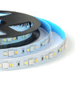 MiBoxer 5050+2835 RGB+CCT LED strip light