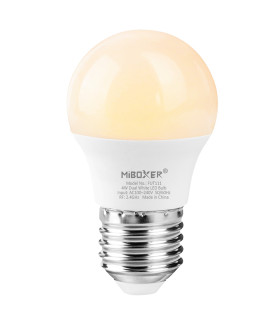 Product Name	
4W Dual White LED Bulb (2.4G)