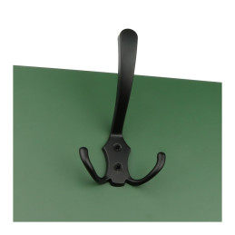 Black hook mounted on a green surface