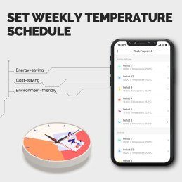 WiFi Programmable Thermostat for Gas Boiler - 5