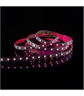 MAX-LED strip 5050 SMD 150 LED RGB IP20 - red