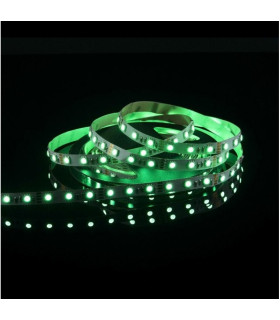 MAX-LED strip 5050 SMD 150 LED RGB IP20 - green