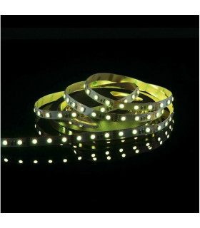 MAX-LED strip 5050 SMD 150 LED RGB IP20 - yellow