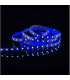 MAX-LED strip 5050 SMD 150 LED RGB IP20 - blue
