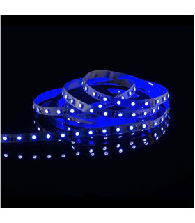 MAX-LED strip 5050 SMD 150 LED RGB IP20 - blue