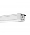 LED line® TRI-PROOF hermetic LED lamps 4000K IP65