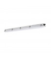 LED Line® RANGER C 40W 4000K 140lm/W Tridonic IP66