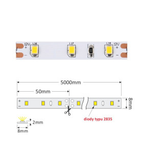 Premium 300 LED strip SMD 2835 30W IP20 - size