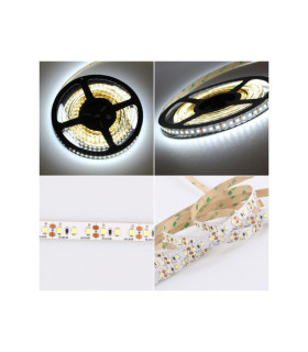 TAPE PREMIUM 600 LED TYPE 2835 IP20 60W - 