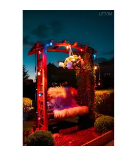 Multicolour smart garden lights