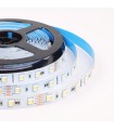 MiBoxer 5050 RGB+CCT LED strip 5 in 1 24V | Future House Store