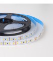 MiBoxer 2835 single colour LED strip 24V