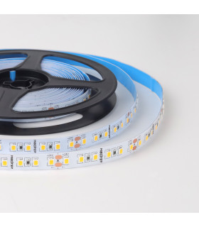 Close-up of MiBoxer 2835 LED strip, showcasing high-quality 2835 SMD chips on a white PCB substrate.