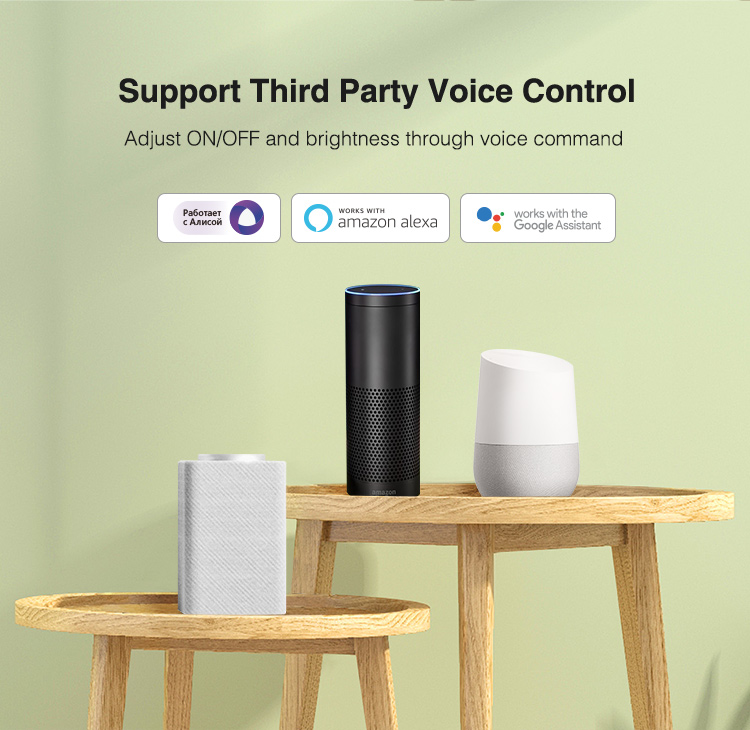 Amazon Alexa, Google Home, Alice Voice control