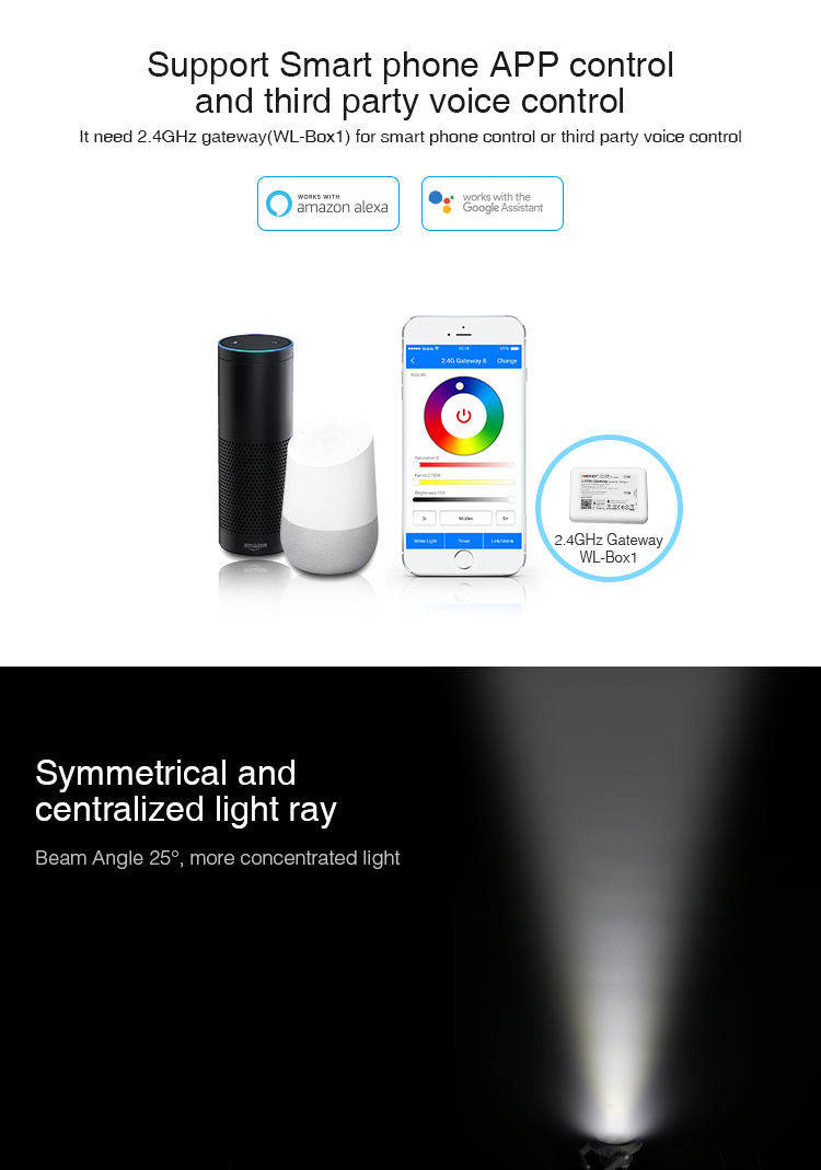 control garden lighting with Amazon Alexa Voice Control smart phone app control