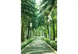 Application of LED Lighting in Public Spaces: Urban and Park Illumination